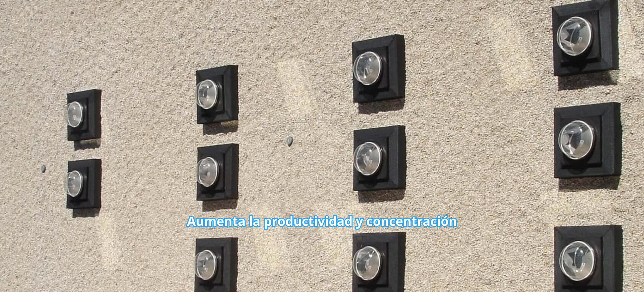 Aumenta la productividad y concentración